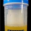 iCup Drug Screen 13